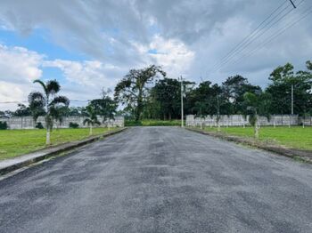 Terreno a la venta en Palma Dorada, Guápiles en Guápiles, Pococí, Limón — 15 000 000 ₡ - Foto 4 de 12
