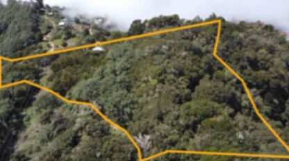 FINCA 2.7HA CON CABAÑA, VISTA AL MAR Y BOSQUE PÉREZ ZELEDÓN en Páramo, Pérez Zeledón, San José — $199,999