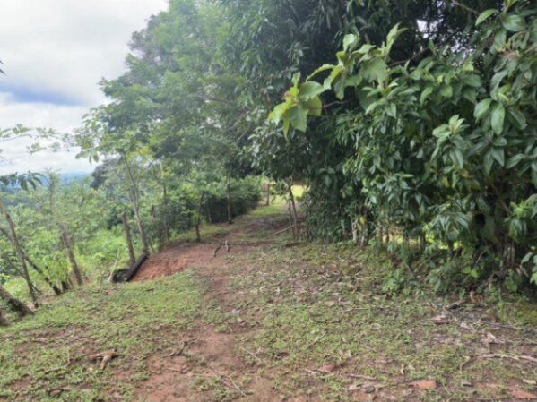 VENDO AMPLIO LOTE EN ACOSTE-PARRITA DE SAN  JOSÉ. in Palmichal, Acosta, San José — $400,000