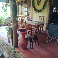 Terreno con casa y 4 apartamentos en Pital, San Carlos, Alajuela — ₡ 56 000 000 - Foto 5 de 15