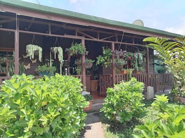 BELLÍSIMA QUINTA CON PRECIOSA CASA EN CERVANTES DE ALVARADO, CARTAGO.  in Cervantes, Alvarado, Cartago — ₡ 140 000 000