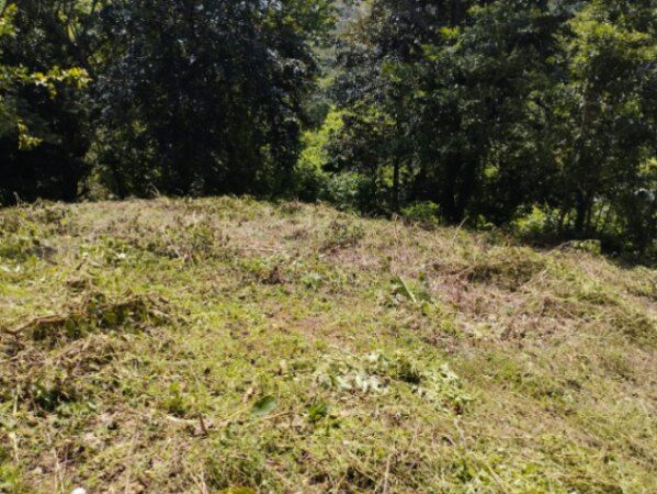 Quinta a la venta en ESPARZA PUNTARENAS in Espíritu Santo, Esparza, Puntarenas — $115,000