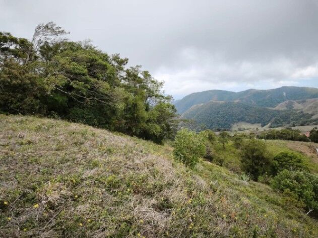VENDO BELLA FINCA EN ZAPOTAL, SAN RAMÓN.  in San Ramón, Alajuela — ₡ 27 490 000