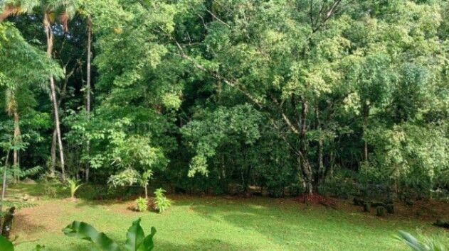 MLS-26-KQ VENTA LOTE RIO CUARTO GRECIA CONTACTENOS AL # 88987222 en Grecia, Alajuela — ₡ 40 000 000