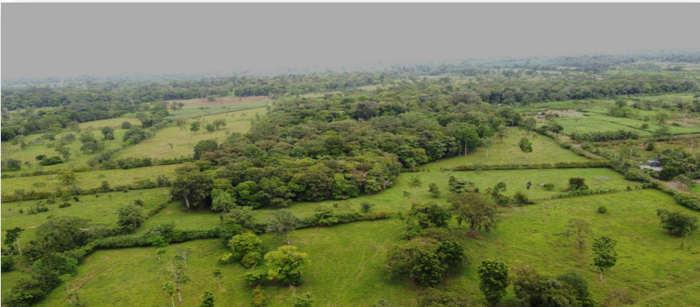 Limón, Pococí, Colorado en Colorado, Pococí, Limón — $1,200,000