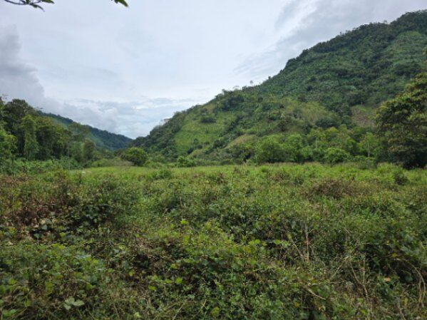 FINCA EN RÍO NUEVO DE SAVEGRE, UN PARAÍSO NATURAL EN EL CORAZÓN DEL PACÍFICO SUR DE COSTA RICA en Río Nuevo, Pérez Zeledón, San José — $300,000