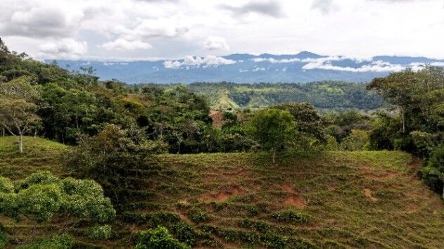 VENTA DE FINCA DE 4.9 HA EN ALTO ESPERANZAS, PEREZ ZELEDON: PRIVACIDAD Y ARBOLES FRUTALES in San Pedro, Pérez Zeledón, San José — $199,900