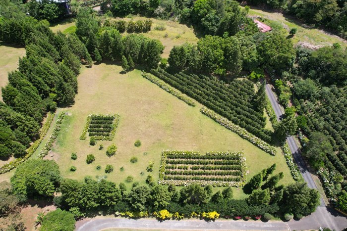 Farm For Sale In Grecia Costa Rica – 28,000 m² in San Isidro, Grecia, Alajuela — ₡ 252 000 000 - Photo 3 of 16