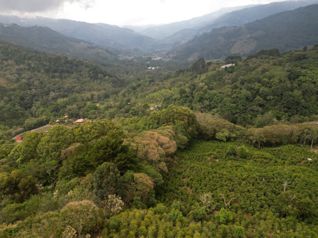 Finca en Venta en Copey de Dota 12.9 hectareas en Santa María, Dota, San José — $2,000,000 - Foto 4 de 11