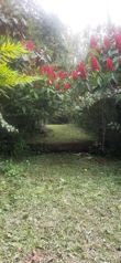 Venta de terreno en Guayabo de Mora. Viva en armonía con la naturaleza in Guayabo, Mora, San José — 85 000 000 ₡ - Photo 5 of 12