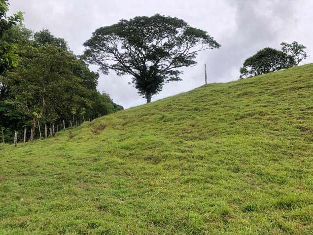 Hermosas fincas, La Virgen de Sarapiquí in La Virgen, Sarapiquí, Heredia — ₡ 235 000 000
