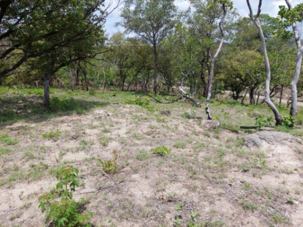 Venta de 3 espectaculares terrenos en Ponderosa, Liberia, Guanacaste, Costa Rica. en Liberia, Guanacaste — $200,000