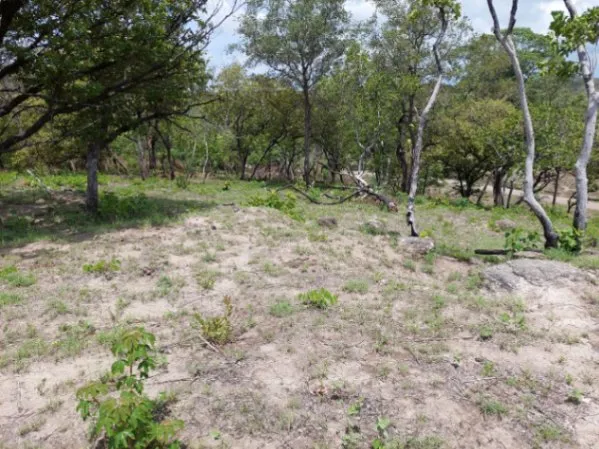 Venta de 3 espectaculares terrenos en Ponderosa, Liberia, Guanacaste, Costa Rica. en Liberia, Guanacaste — $200,000 - Foto 3 de 11