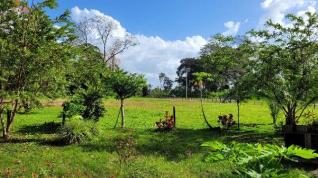 Venta de Extenso Terreno en Limón / OFC Mls. 25-1361 en Matama, Limón — $1,800,000