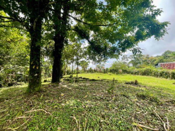 VENTA DE LOTE l CARIBLANCO, SARAPIQUÍ l ALAUELA l PRECIO NEGOCIABLE. en Sarapiquí, Alajuela — ₡ 25 000 000