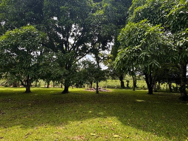 Quinta privada a minutos de Muelle, San Carlos! 🌿 en Cutris, San Carlos, Alajuela — ₡ 82 000 000 - Foto 3 de 13