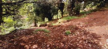 Venta de Lote en Macho Gaff, San Isidro, El Guarco en San Isidro, El Guarco, Cartago — 50 000 000 ₡ - Foto 4 de 18