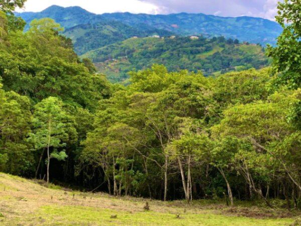 Propiedad en Calle Cuesta de Piedra, Aserrí, Costa Rica in Aserrí, San José — ₡ 68 000 000