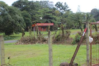 Gran Oportunidad  in Las Horquetas, Sarapiquí, Heredia — 65 ₡ - Photo 5 of 23