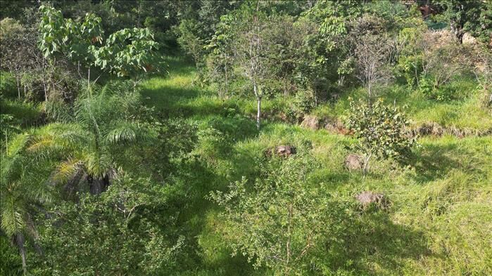 LOT FOR SALE IN ALEGRIA VILLAGE en San Mateo, Alajuela — $197,000