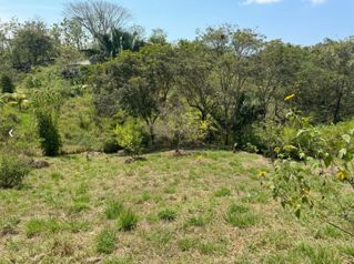 Lote en Comunidad Orgánica y Regenerativa en San Isidro