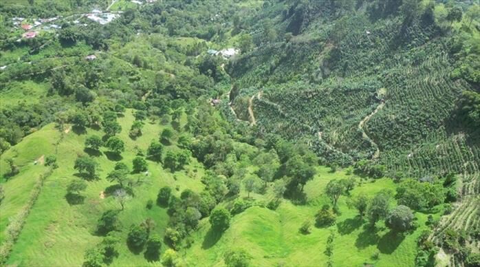 FINCA EN VENTA EN CEDRAL, SAN JOSE. 130 HECTÁREAS in Cajón, Pérez Zeledón, San José — $1,300,000