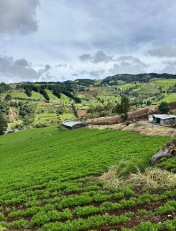 SE VENDEN 2 BELLÍSIMAS PROPIEDADES EN NARANJO, ALAJUELA.  en Naranjo, Alajuela — ₡ 50 000 000