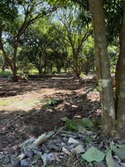 Quinta Segura en Zona Tamarindo (Altos de Pinilla) in Tamarindo, Santa Cruz, Guanacaste — $95,000 - Photo 5 of 6