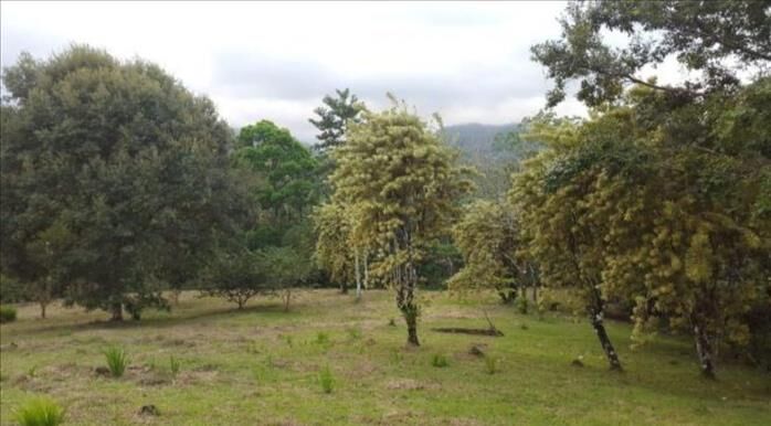 Finca con casa  en La Tigra, San Carlos, Alajuela — ₡ 60