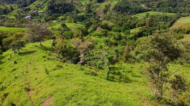EN VENTA – 9.3 HECTÁREAS EN PLATANARES, PÉREZ ZELEDÓN, COSTA RICA in Platanares, Pérez Zeledón, San José — $156,999