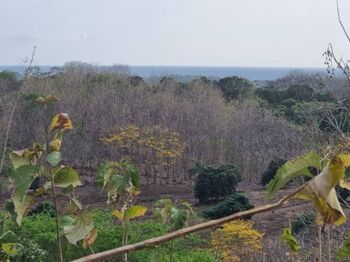 Lote 7,4ha con vistas al Mar y Potencial de Desarrollo in Tárcoles, Garabito, Puntarenas — $550,000 - Photo 5 of 8
