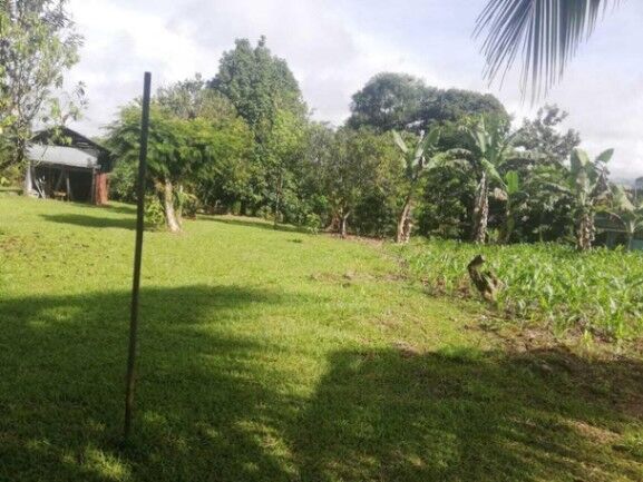 MLS-25-765 LS VENTA FINCA PEREZ ZELEDON SAN JOSE CONTACTENOS AL # 86127562 en San Pedro, Pérez Zeledón, San José — ₡ 75 000 000