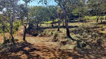 Hermosa Quinta Junto al Río en San Ramón, Alajuela — 40 000 000 ₡ - Foto 5 de 22