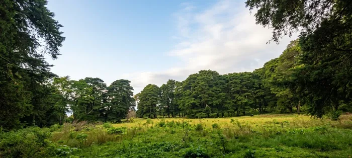 Beautiful farm in Los Angeles de San Rafael de Heredia 10.4 hectares in Concepción, San Rafael, Heredia — $2,600,000