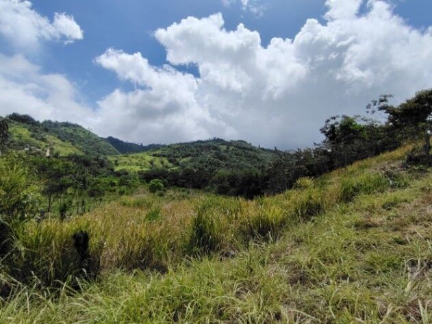 SE VENDE FINCA CERCA DEL RÍO CON POTENCIAL DE DESARROLLO in San Isidro De El General, Pérez Zeledón, San José — $113,000