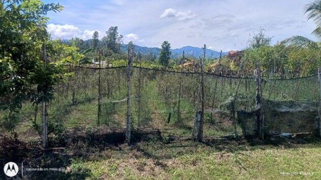 Terreno para construir en Santiago, Paraíso, Cartago — $80