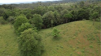 Finca en San Rafael de Guatuso en San Rafael, Guatuso, Alajuela — 392 400 000 ₡ - Foto 5 de 13