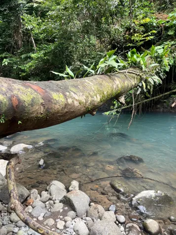 Río Celeste, Guatuso, Provincia de Alajuela, 21502, CRI en Buenavista, Guatuso, Alajuela — ₡ 264 000 000 - Foto 2 de 14