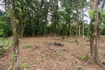 VENTA DE QUINTA, LIMÓN, GUÁPILES, POCOCÍ, QUINTAS EL CORINTO en Guápiles, Pococí, Limón — $65,000 - Foto 5 de 7