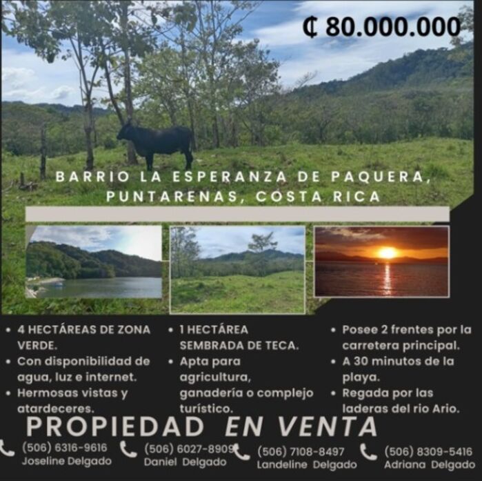 Venta de Bella finca en Paquera, Puntarenas — ₡ 80 000 000