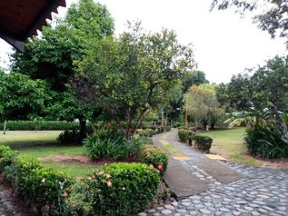 VENTA DE BELLISIMA Y AMPLIA PRIORIDAD EN LIMONAL DE OROTINA in Coyolar, Orotina, Alajuela — $1,500,000 - Photo 4 of 27