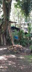 Farm For Sale Laurel, Corredores, Puntarenas