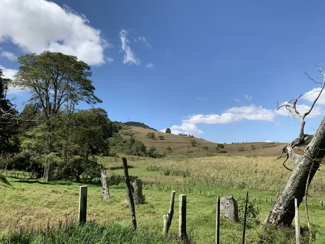 FOR SALE INDUSTRIAL DEVELOPMENT LAND 3, CARTAGO, OCHOMOGO in San Nicolás, Cartago — $6,800,000 - Photo 2 of 9