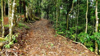 Se Vende Terreno Listo para Construir Rodeado de Naturaleza - Foto 2 de 3