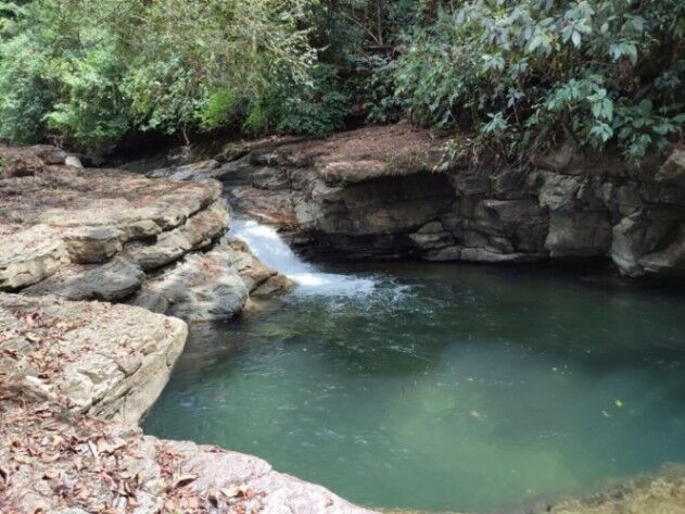 Finca ganadera  in Platanares, Pérez Zeledón, San José — $1,750,000