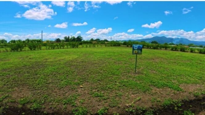 SE VENDEN PROPIEDADES FINANCIADAS EN UN CIEN POR CIENTO.  en La Fortuna, San Carlos, Alajuela — ₡ 1 000 000