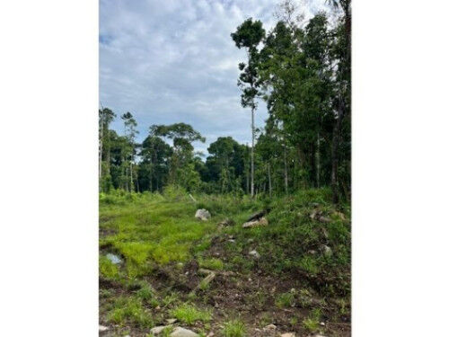 VENTA DE QUINTAS ECOLÓGICAS, LIMÓN, SUERRE, POCOCÍ in Limón — ₡ 17 000 000
