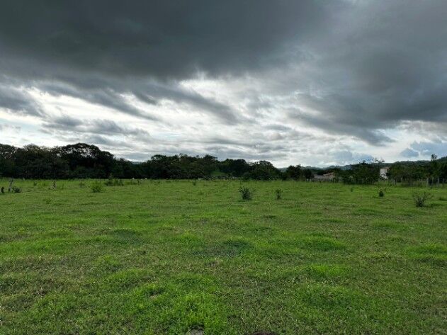 Ventas de lotes de diferentes tamaños  en Tamarindo, Santa Cruz, Guanacaste — ₡ 35 000 000