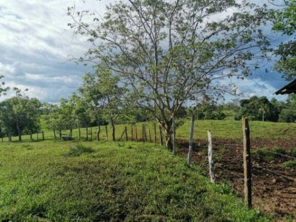 Se vende amplio lote de 180 hectáreas en Paso Real 23-1716 en Pocosol, San Carlos, Alajuela — $1,800,000