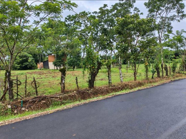 🌿 LOTE DE 2.209 m² EN VENTA | MUELLE DE LA PALMERA, SAN CARLOS en La Palmera, San Carlos, Alajuela — ₡ 40 000 000 - Foto 3 de 5